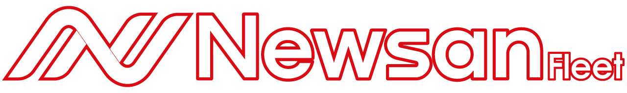 Newsan